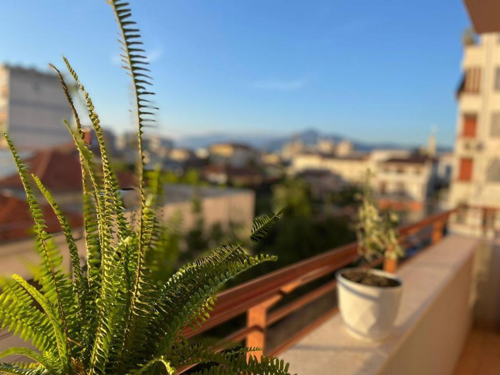 Premium Apartments Шкодер Экстерьер фото